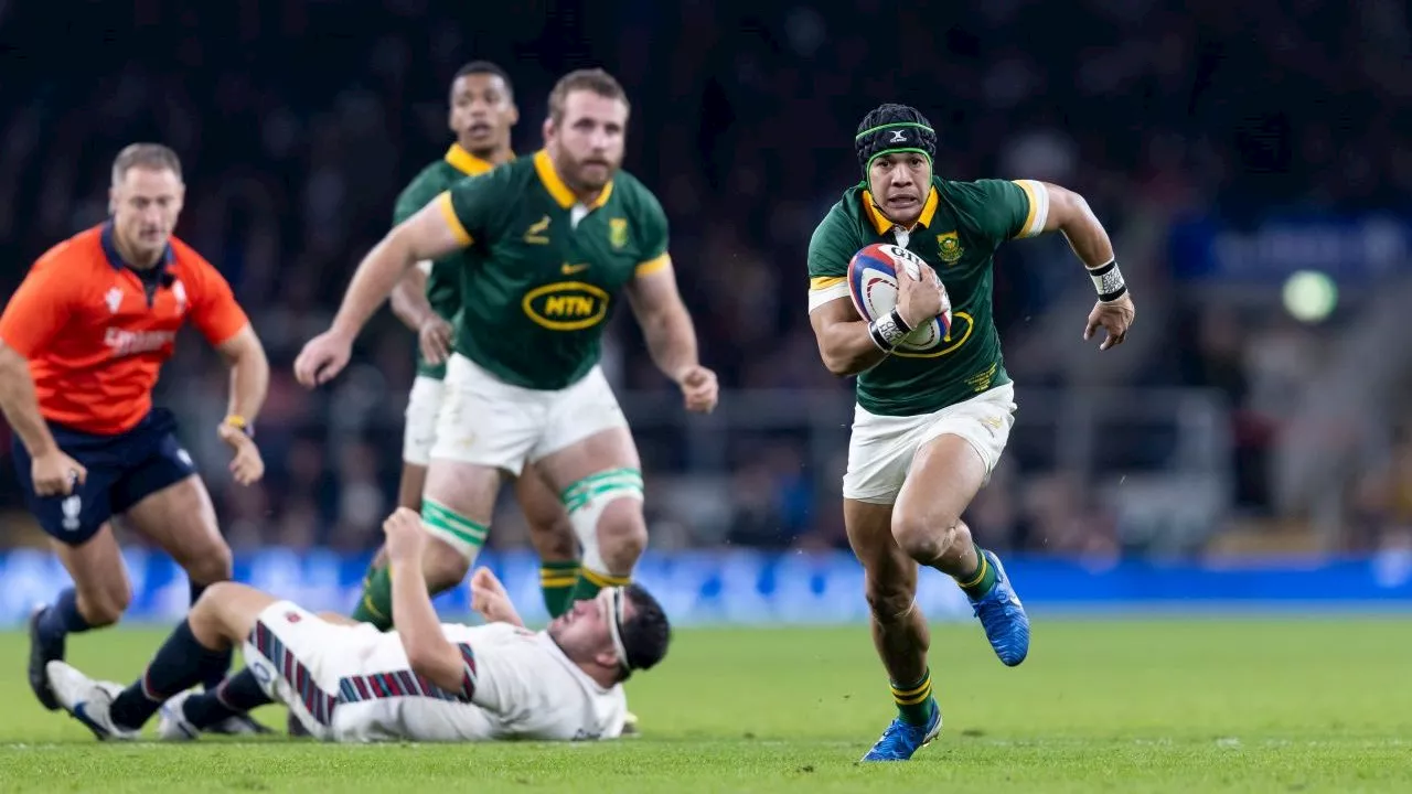 Four Cape Town-born Springboks up for rugby’s highest honours