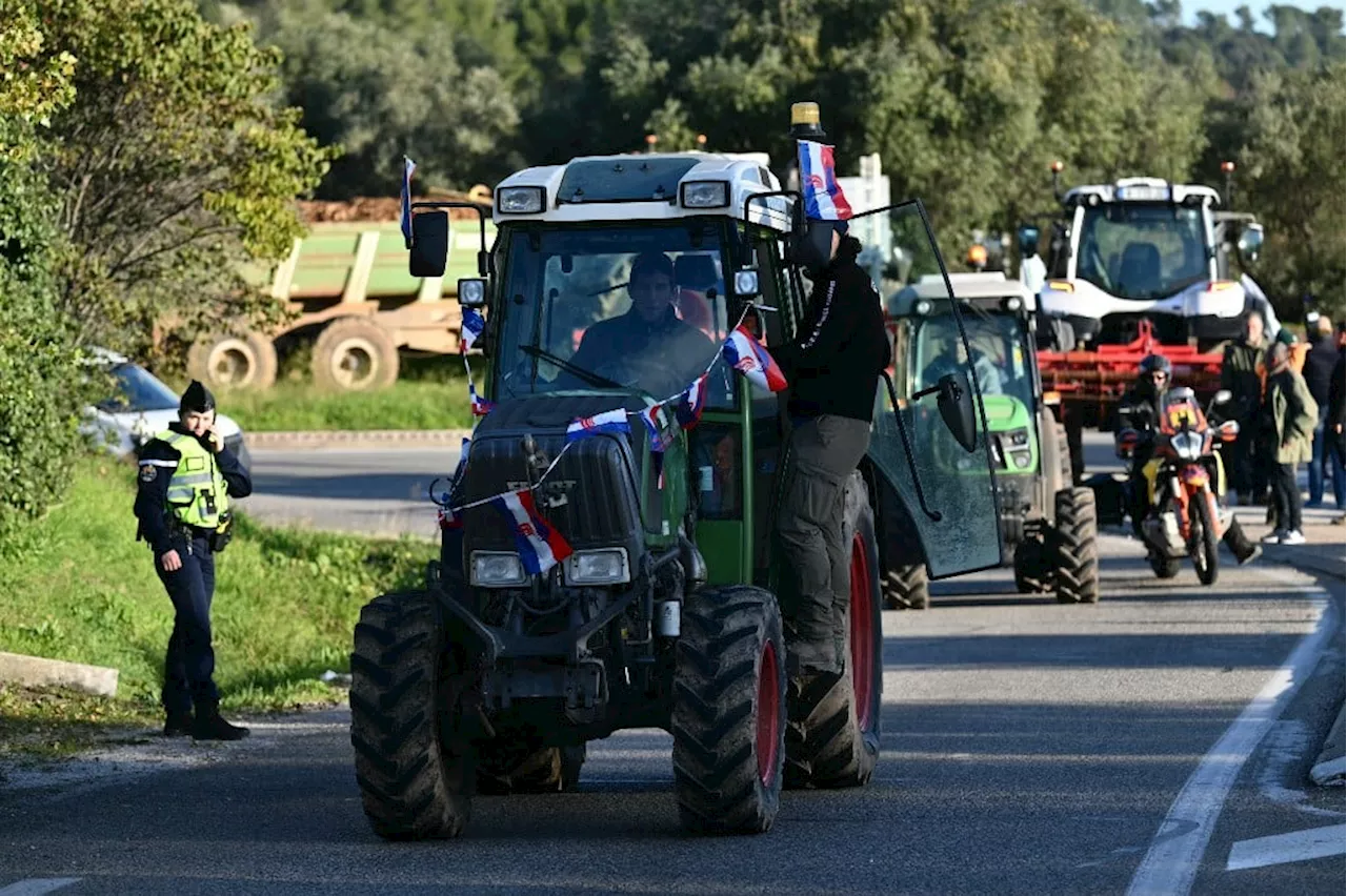 Agricultores franceses protestam contra acordo com Mercosul