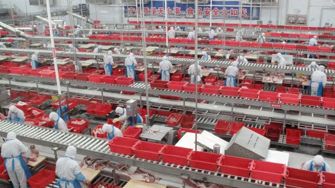 Hong Kong's WH Group seeks shareholder approval for US unit spin-off, listing