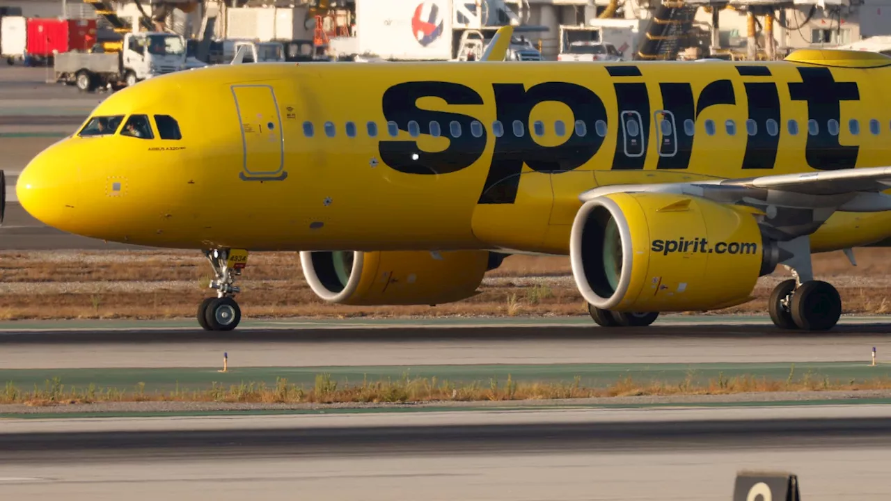 Budget travel icon Spirit Airlines files for bankruptcy protection after mounting losses