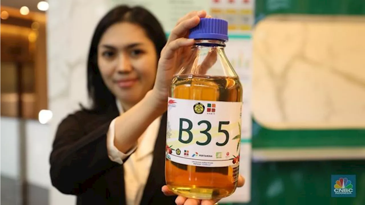 Campuran Minyak Sawit 35% ke BBM Bisa Bikin RI Hemat Impor Rp 512 T