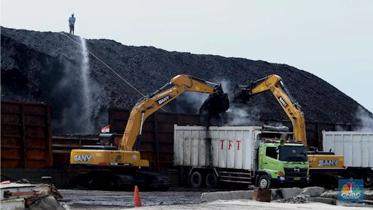 Duh, Banyak Truk Angkutan Batu Bara Masih Gunakan Solar Subsidi!