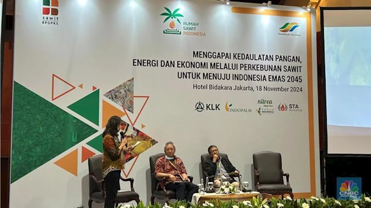 Ekonom Ini Ingatkan Ada Ancaman Perang Komoditas di Depan Mata