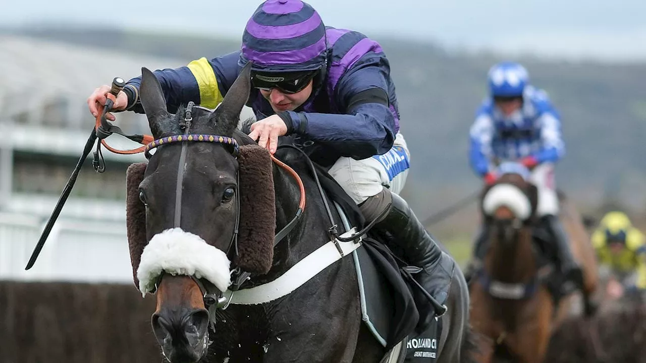 Tragedy strikes at Cheltenham as three horses die in one afternoon - including one shortly after...