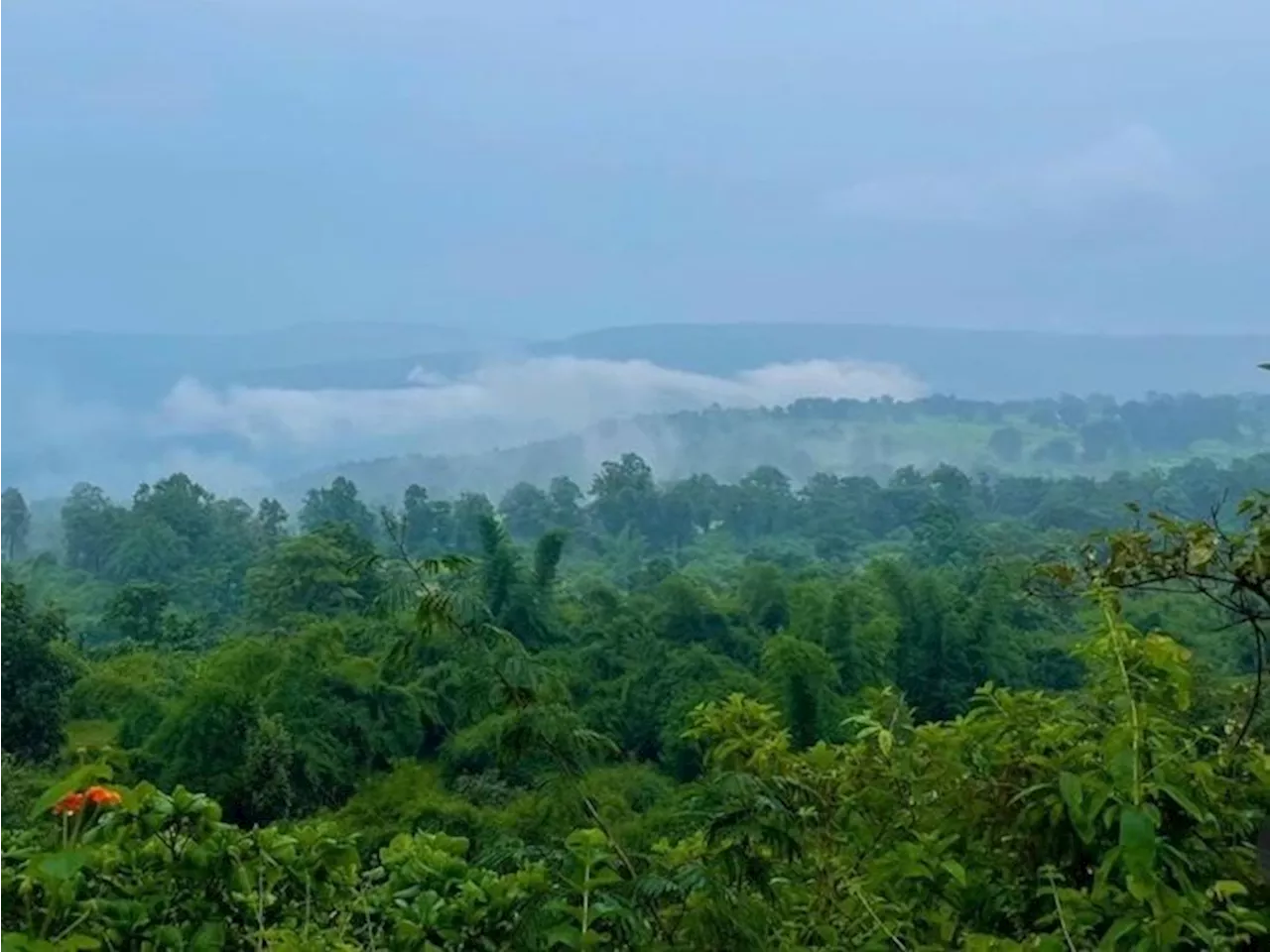 सर्द हवाओं ने ठिठुराया, 10 डिग्री के नीचे पहुंचा तापमान: अंबिकापुर में 9.7 डिग्री न्यूनतम तापमान, पाट इलाको...