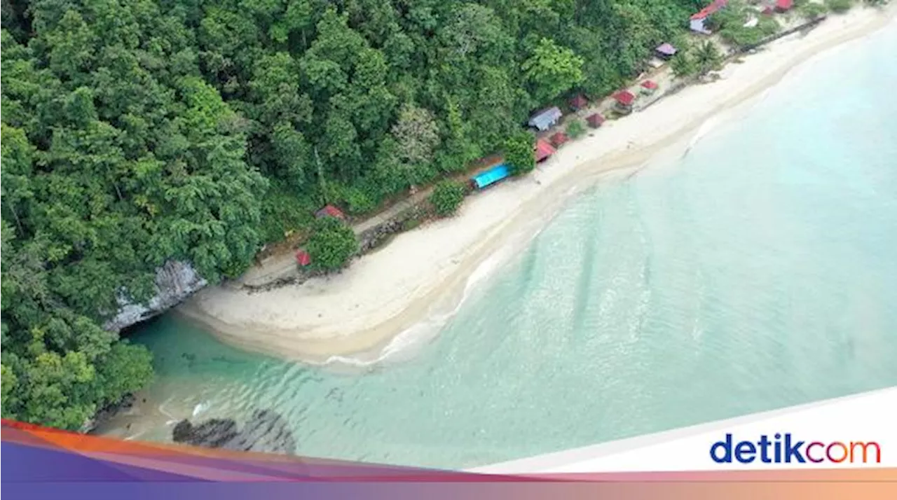 6 Sungai Terpendek di Dunia, Nomor Satu Ada di Indonesia