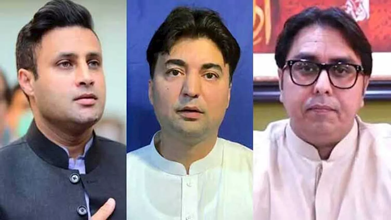 ATC declares Zulfi Bukhari, Shahbaz Gill, Murad Saeed, Hammad Azhar as absconders