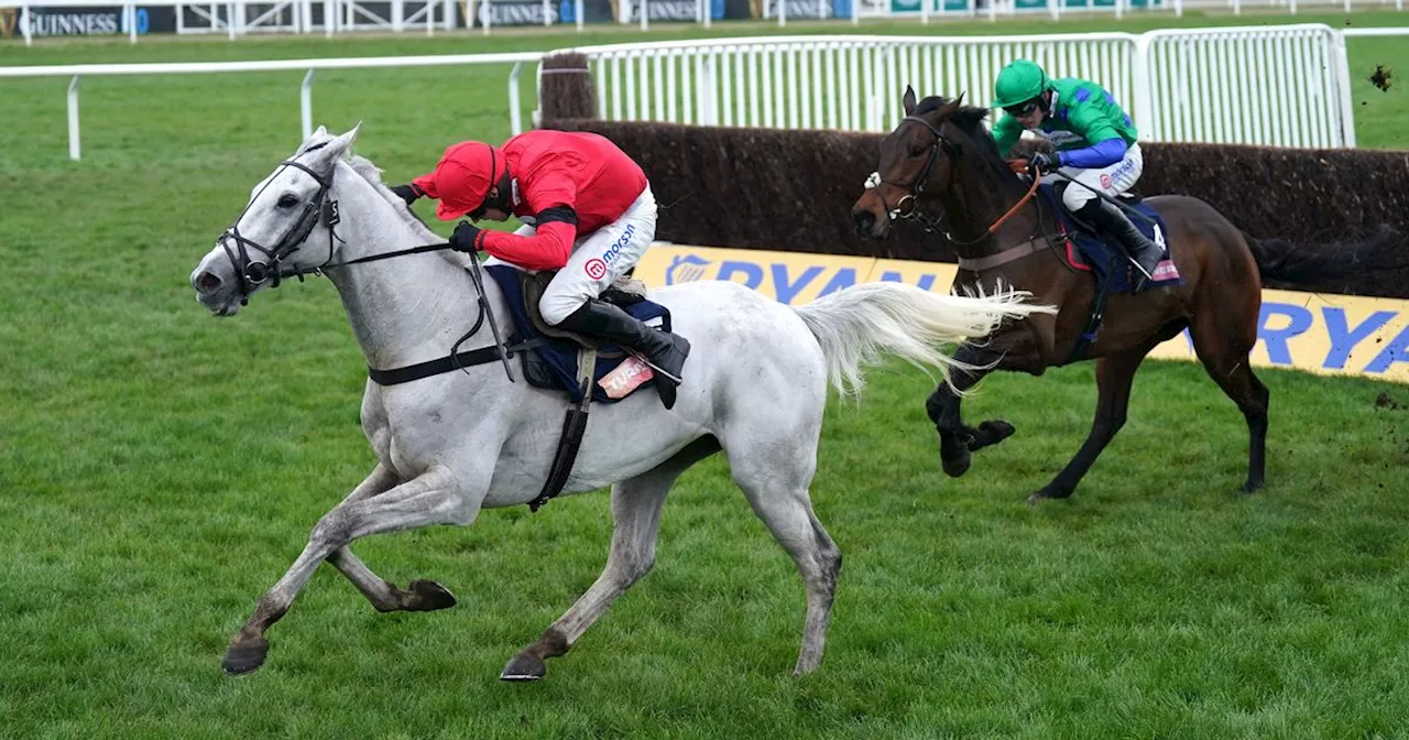 Grey Dawning 'ready as he can be' for Betfair Chase at Haydock Park