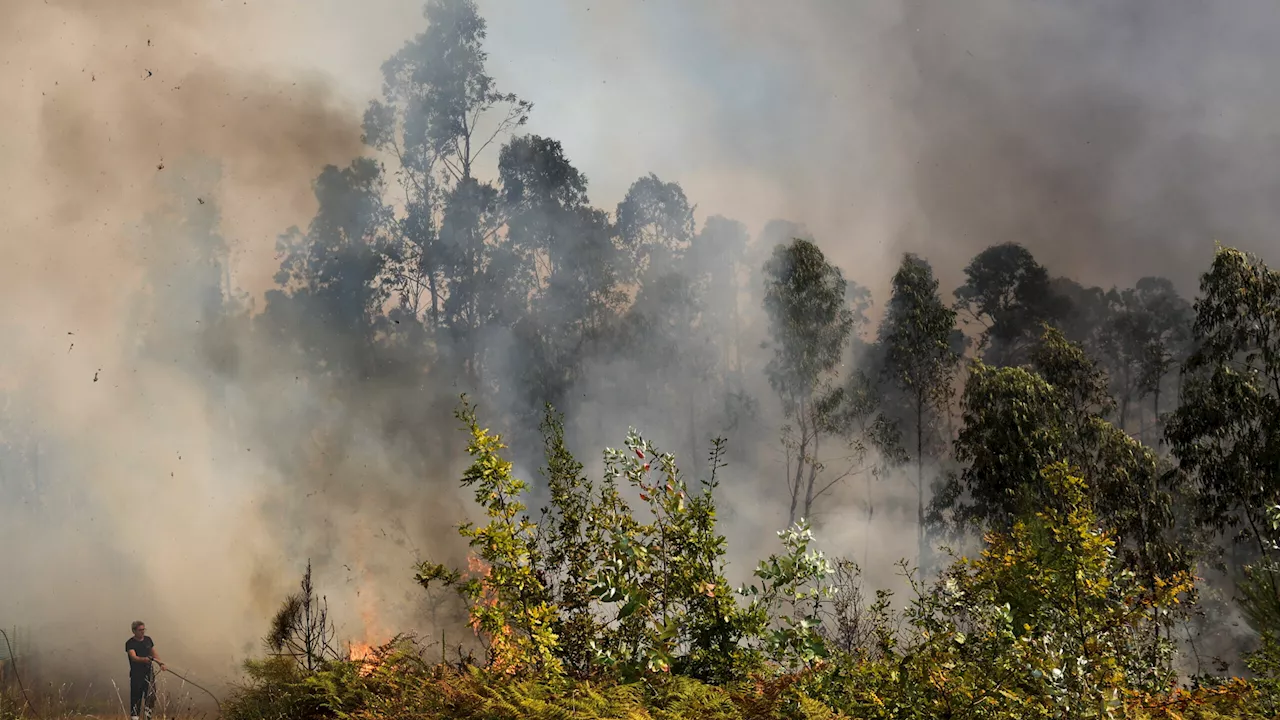 Mais de 460 freguesias recebem apoio devido ao fogo