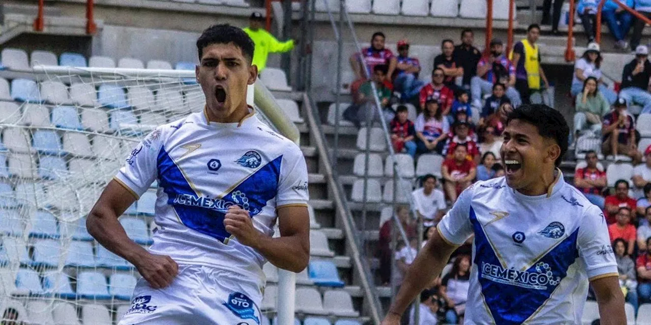 Liga de Expansión busca campeón entre Celaya y Tapatío