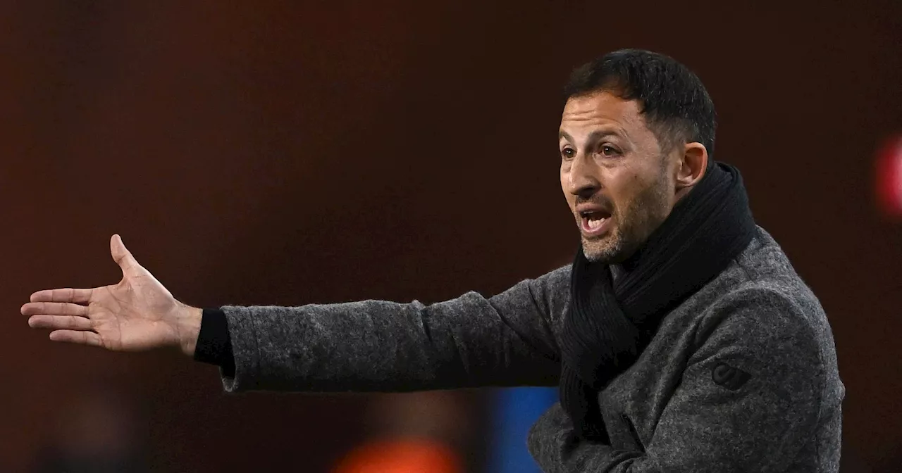 Nach Nations-League-Blamage: Domenico Tedesco attackiert in Belgien vom Schleudersitz -'Ich weiß, was ich tue'