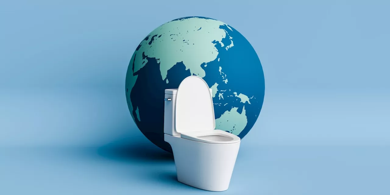 Welttoilettentag 2024: Mit Sanitäranlangen in den globalen Kampf gegen Seuchen