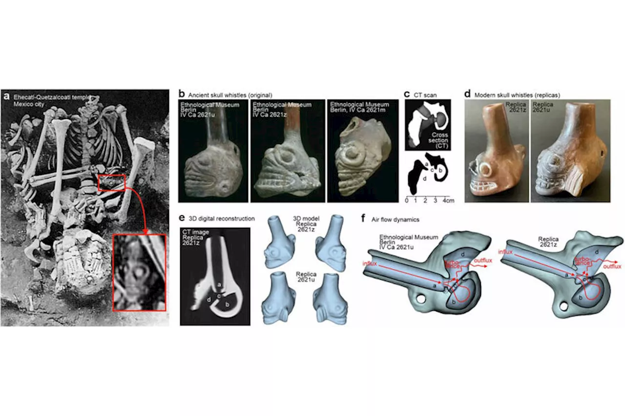 Ученые раскрыли тайну ужасных звуков «свистков-черепов» из ацтекских захоронений