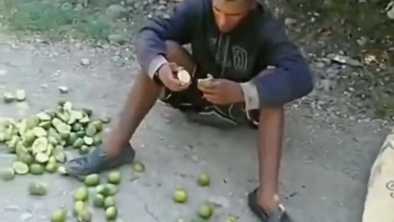 Lo obligan comerse el costal de limones que robó para no cortarle las manos: VIDEO