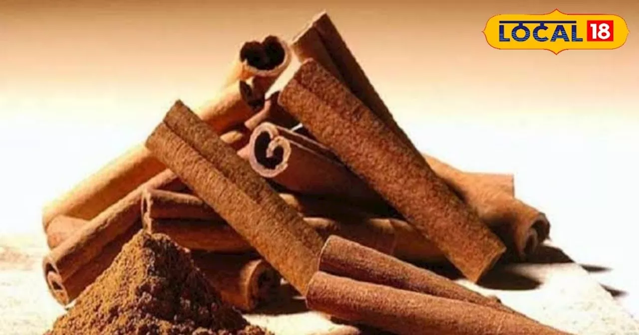 Benefits of Arjuna bark: मात्र 3 महीने अर्जुन की छाल का करें इस्तेमाल, पूरे साल नहीं पड़ेंगे बीमार!