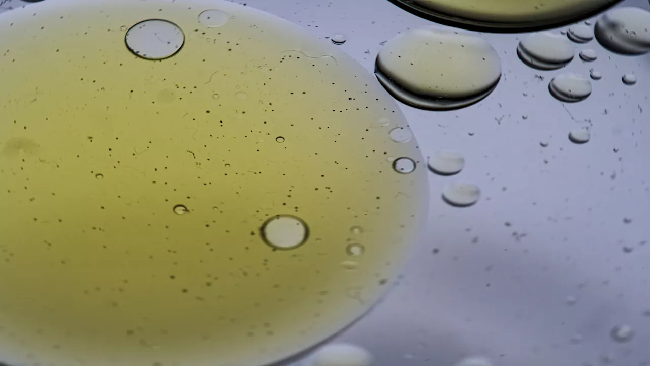 Revolutionary membrane tech separates 97% oil from water with 99.9% purity