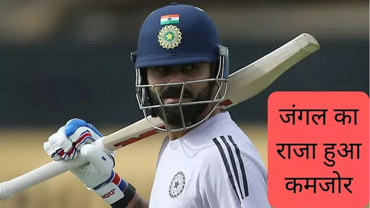 IND vs AUS: 'जंगल का राजा थोड़ा कमजोर हो गया है', Virat Kohli के फॉर्म पर ऑस्‍ट्रेलियाई खिलाड़ी ने कसा तंज