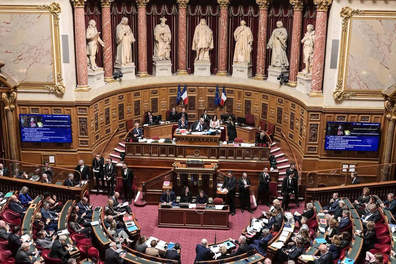 Budget 2025 : le Sénat, comblé de prendre la main