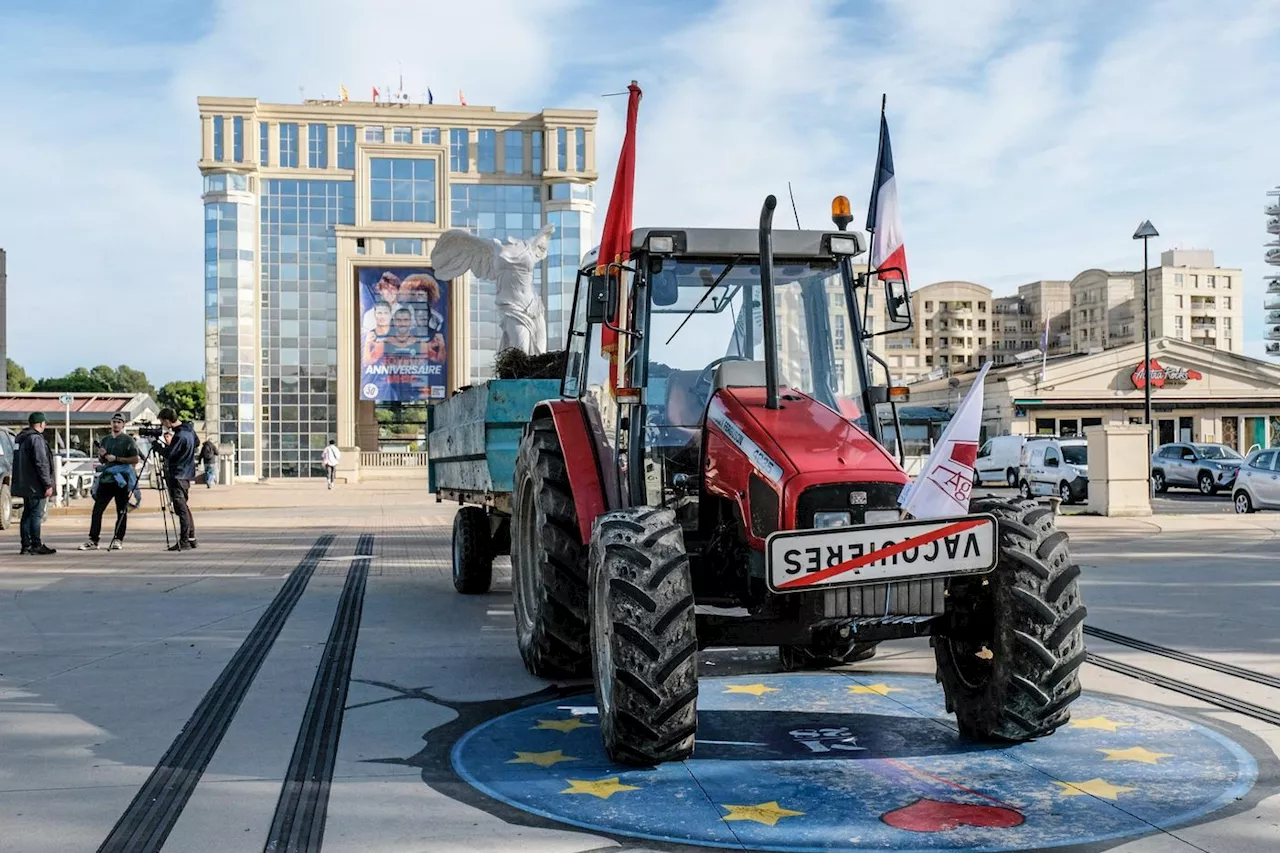 « Nous, on crève ! » : à Montpellier, les agriculteurs mobilisés contre le Mercosur