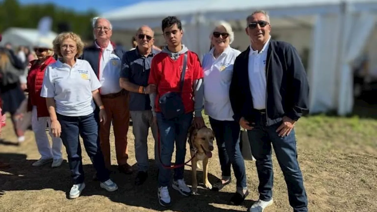 Le Rotary club d'Aubagne apporte son aide dans la formation de chiens guides d’aveugles