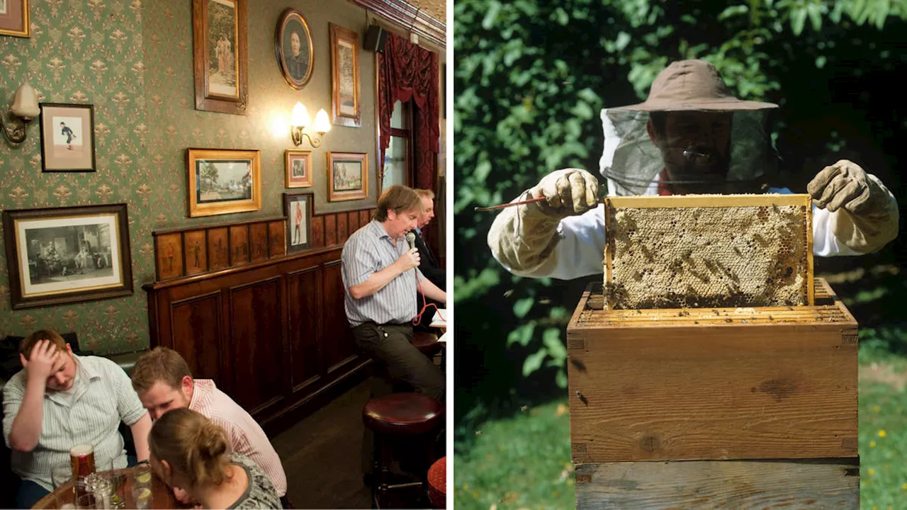 Pub quizzes, beekeeping and birdfeeding banned as councils crack down on inoffensive hobbies