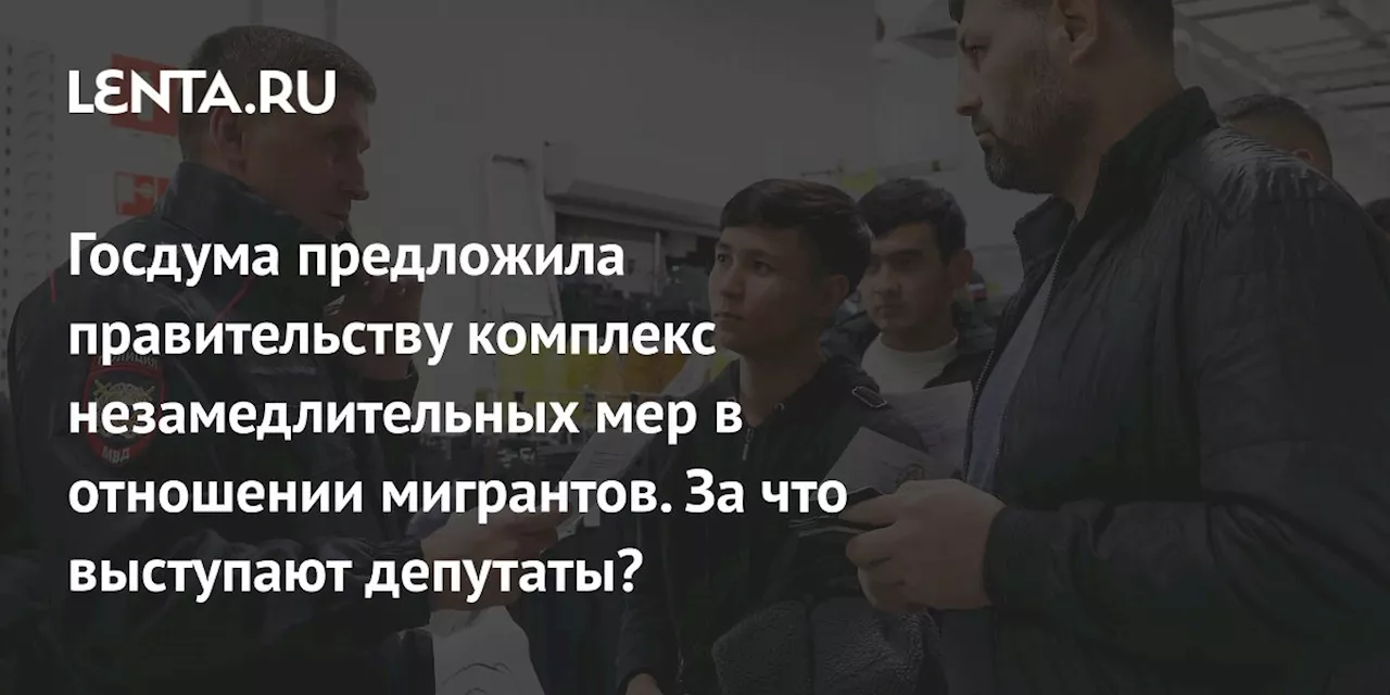 Госдума предложила правительству комплекс незамедлительных мер в отношении мигрантов. За что выступают депутаты?