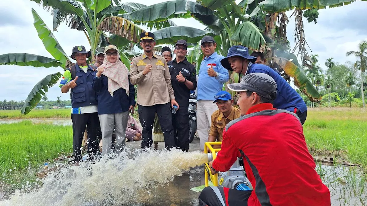 Produktivitas dan IP Padi di Desa Rokan Baru Pesisir Meningkat Berkat Optimalisasi Lahan Kementan