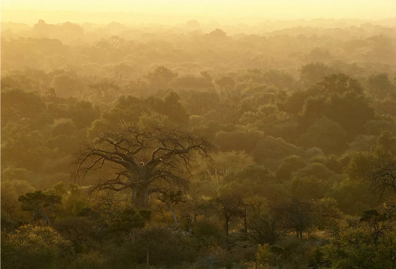 Coal mining threatens Vhembe Biosphere Reserve