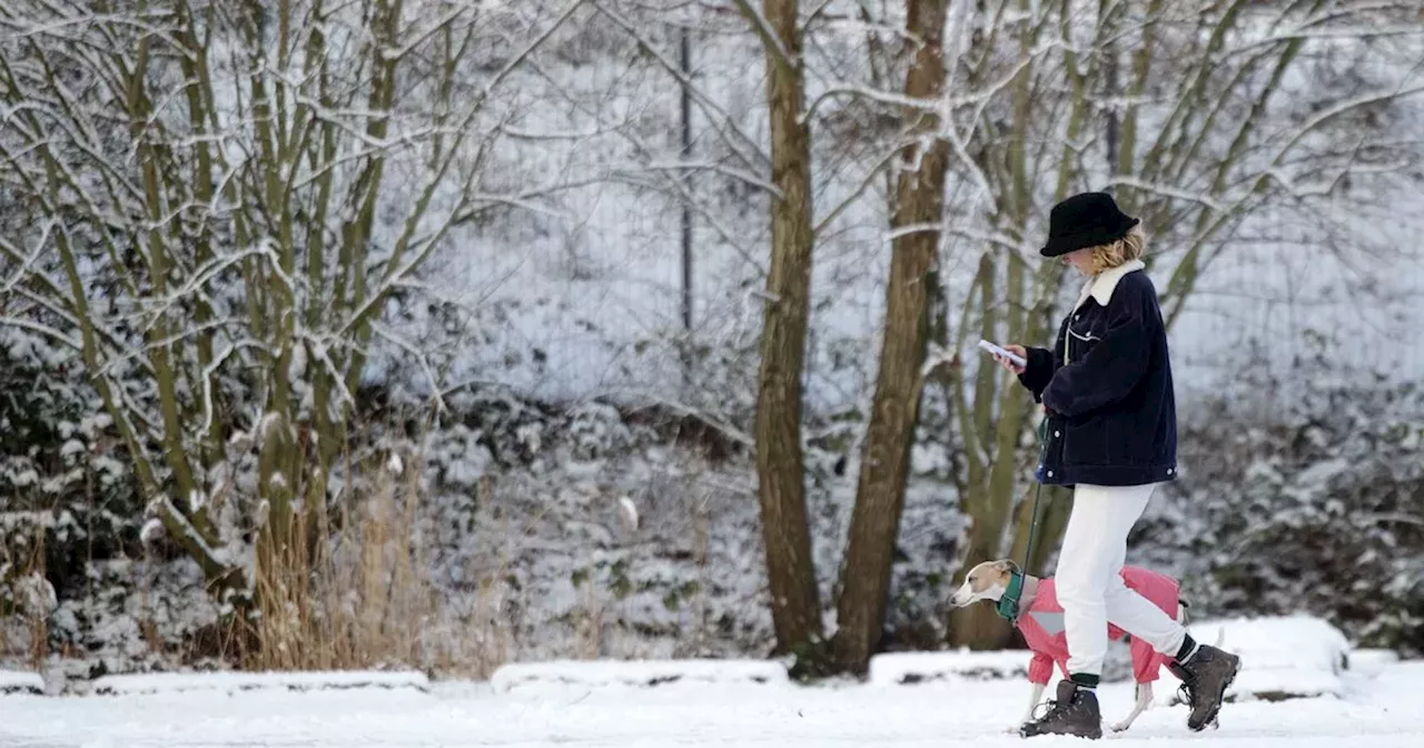 Met Office warns of 'disruptive snow' as UK braces for Arctic blast