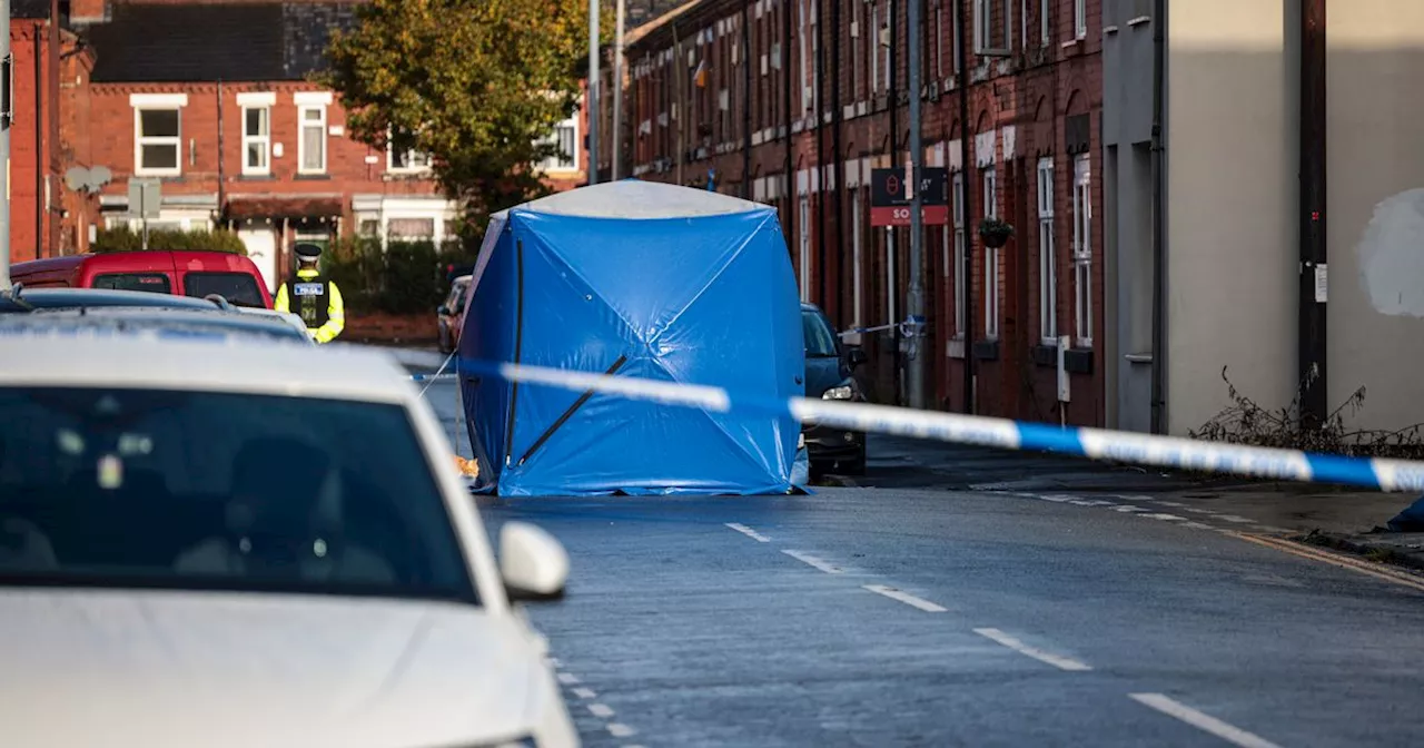 Police issue update as two men killed in double stabbing are named