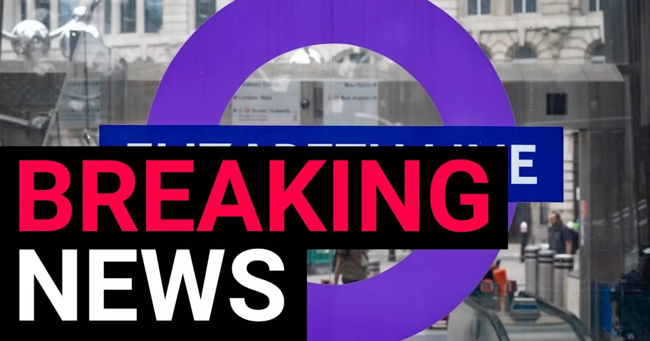 Elizabeth Line facing severe London Underground rush hour delays