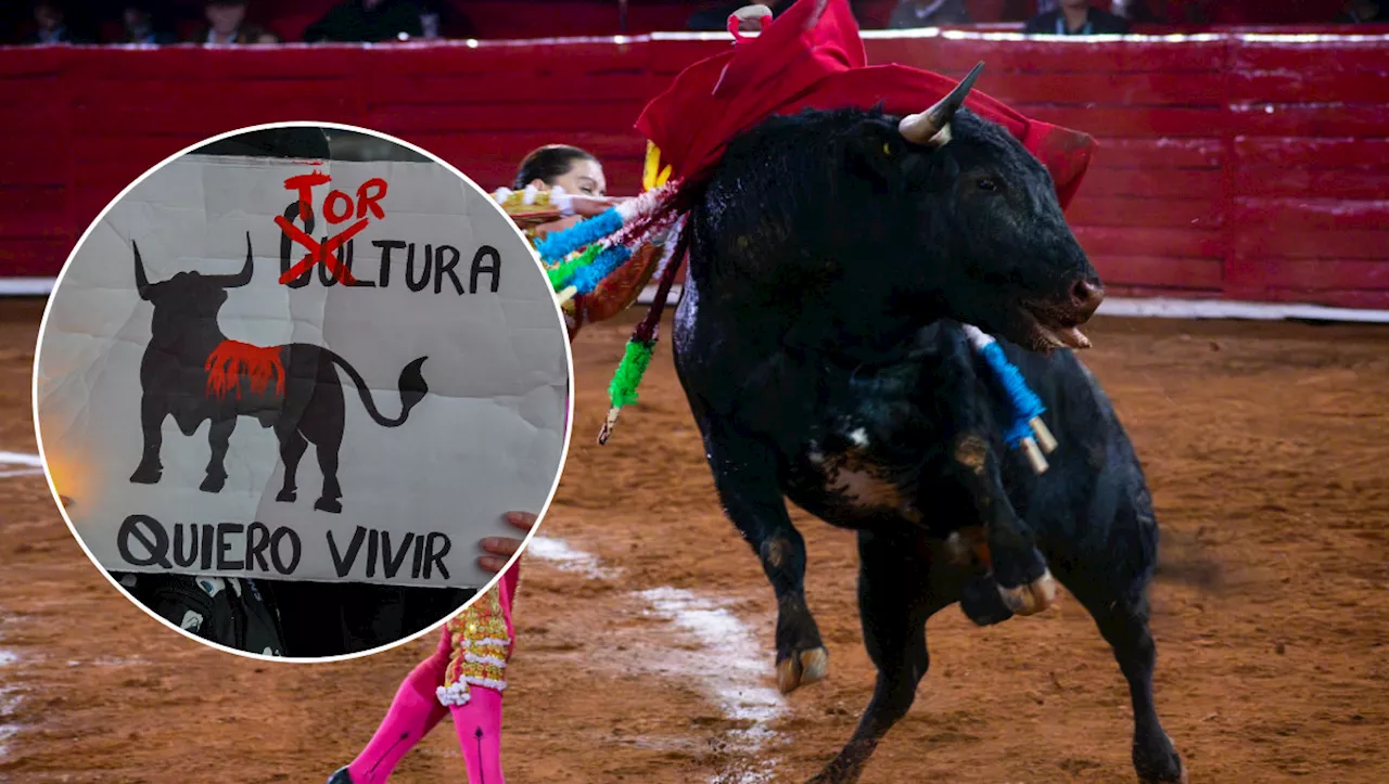 PVEM pide aprobación de sanciones penales contra la tauromaquia en Puebla