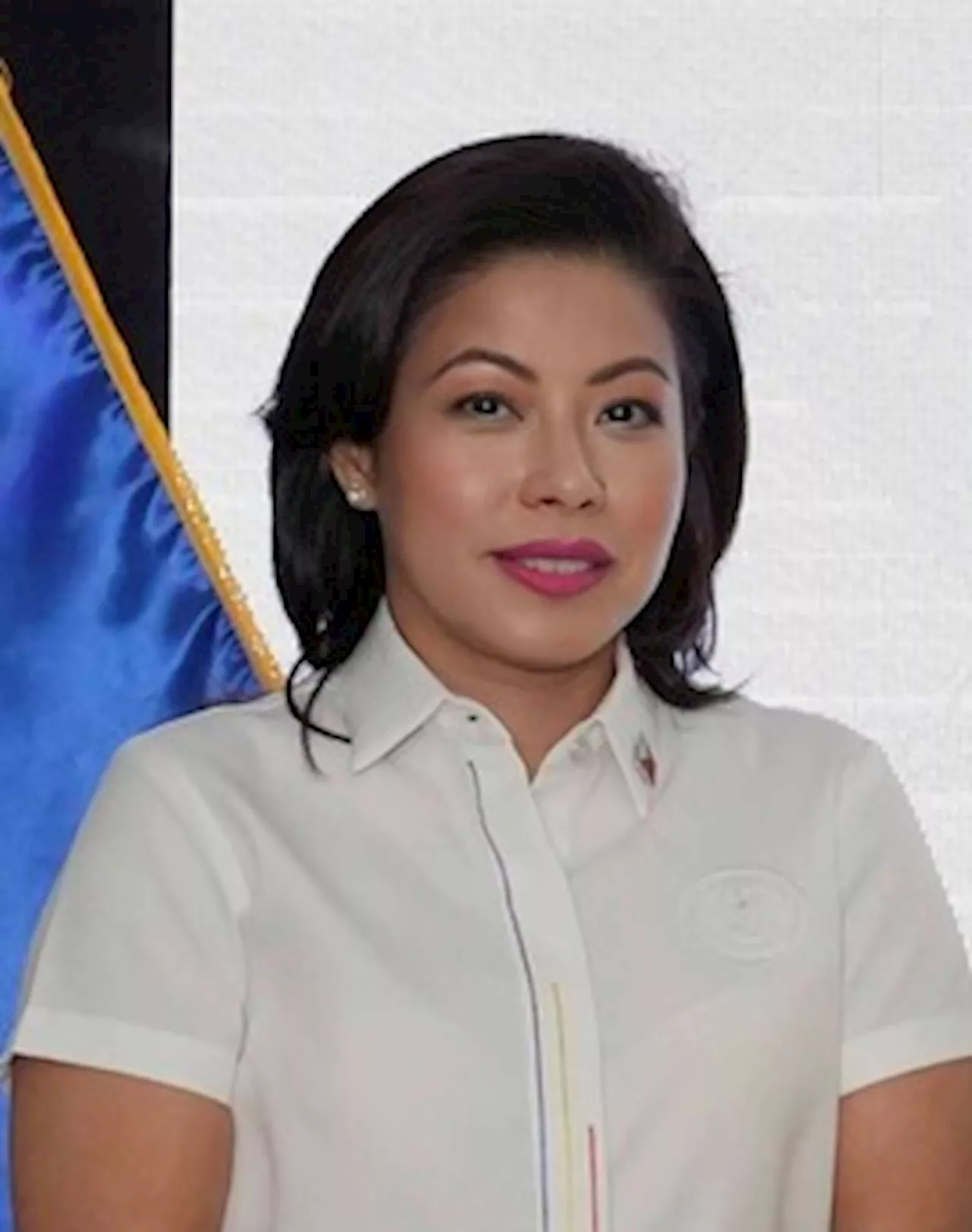 Lawmakers demand appearance of VP’s elusive staff