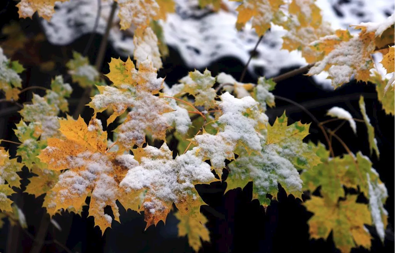 Nur wenig Schnee am Buß- und Bettag in Bayern erwartet