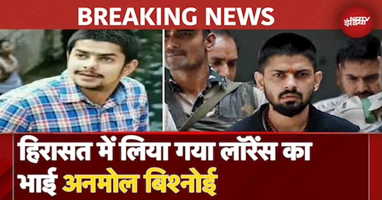 Anmol Bishnoi Arrested: Lawrence Bishnoi का छोटे भाई अनमोल बिश्नोई US पुलिस की हिरासत में