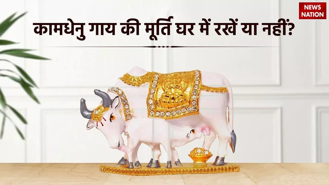 Kamdhenu Cow Vastu Tips: कामधेनु गाय की मूर्ति घर में रखनी चाहिए या नहीं, जानें क्या हैं वास्तु शास्त्र के नियम