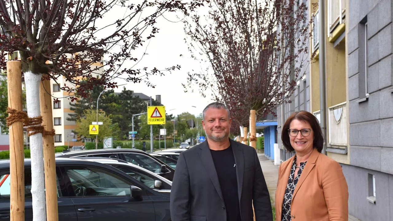 Rund 220 Bäume wurden heuer in Amstetten gepflanzt