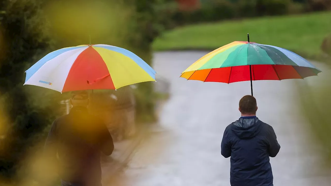 Baden-Württemberg: Windiges Wetter und Dauerregen im Schwarzwald