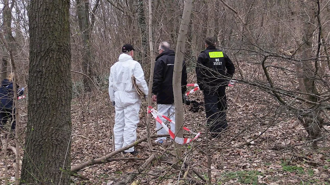 Berlin & Brandenburg: Oberschenkel-Fund in Berliner Park - Leiche fehlt weiterhin