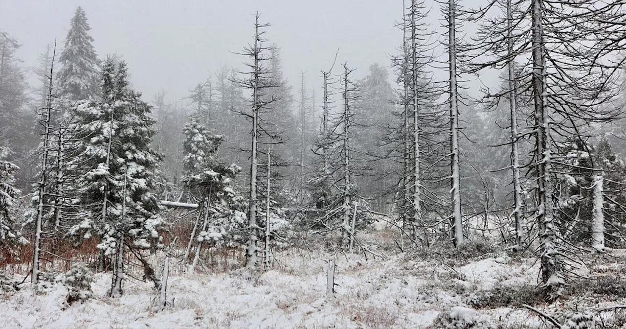 Tief «Quiteria» bringt Sturmböen und Schnee