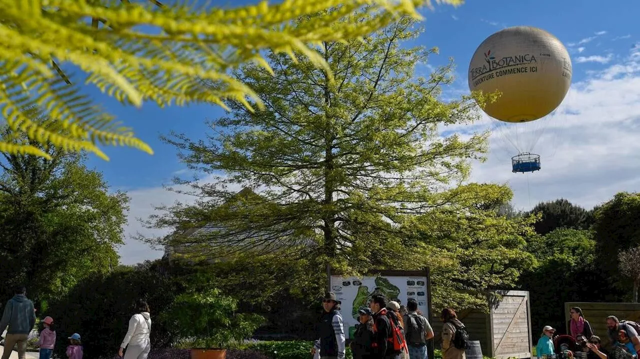 Le parc du végétal Terra Botanica à Angers passe aux mains de l’opérateur privé Looping