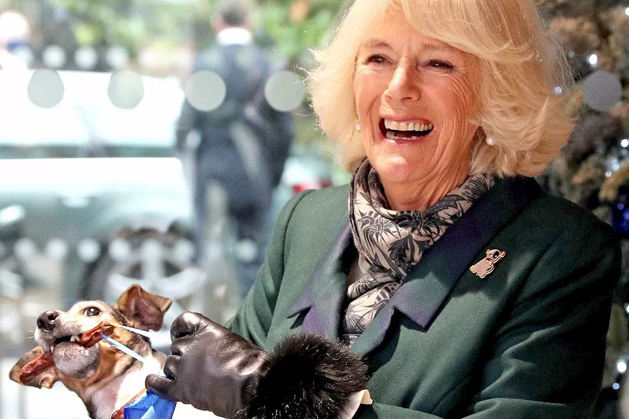 Queen Camilla's Rescue Dog Beth Dies, Royal Family Announces: 'Brought Such Joy'