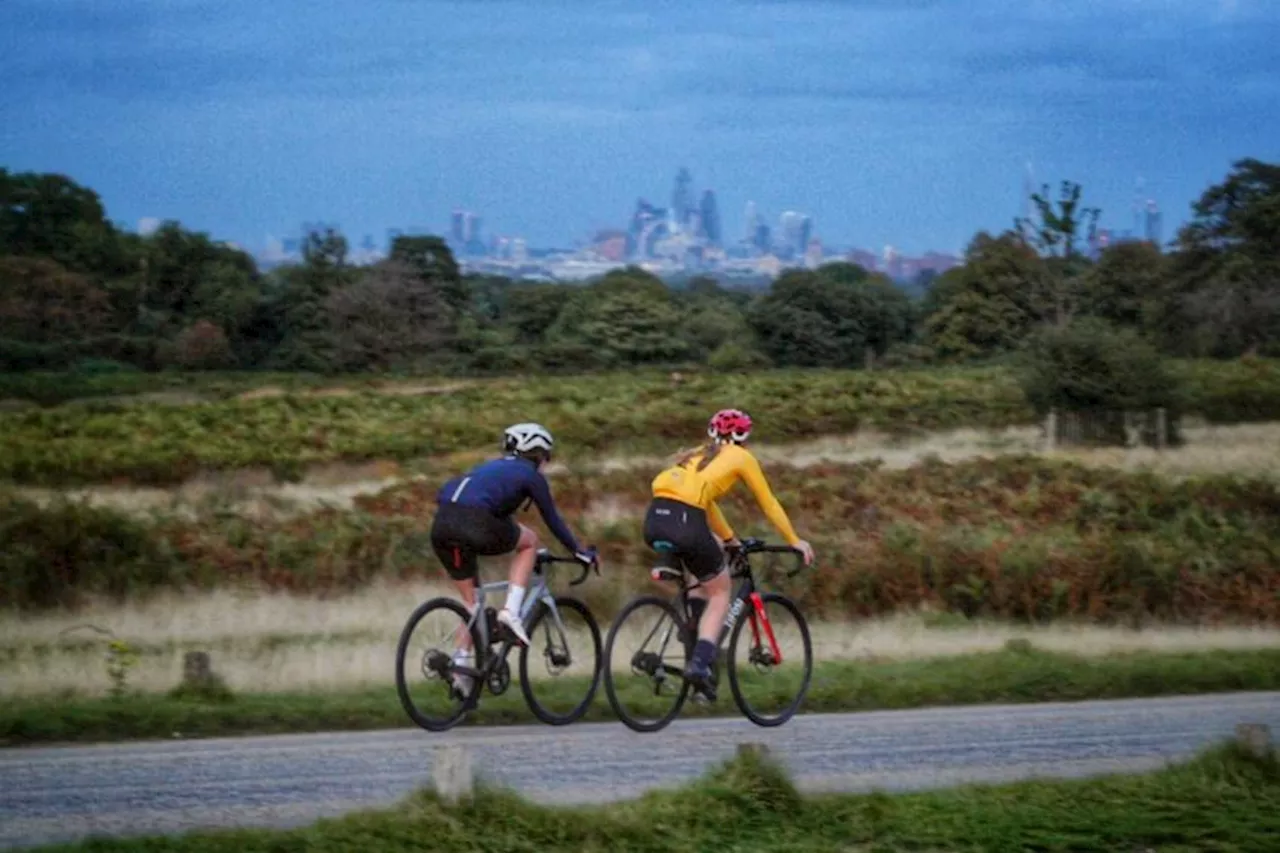 Telegraph publishes "dossier of collision data" involving "rogue cyclists" in London parks, as Royal Parks continues campaign for new laws to prosecute 'speeding' cyclists