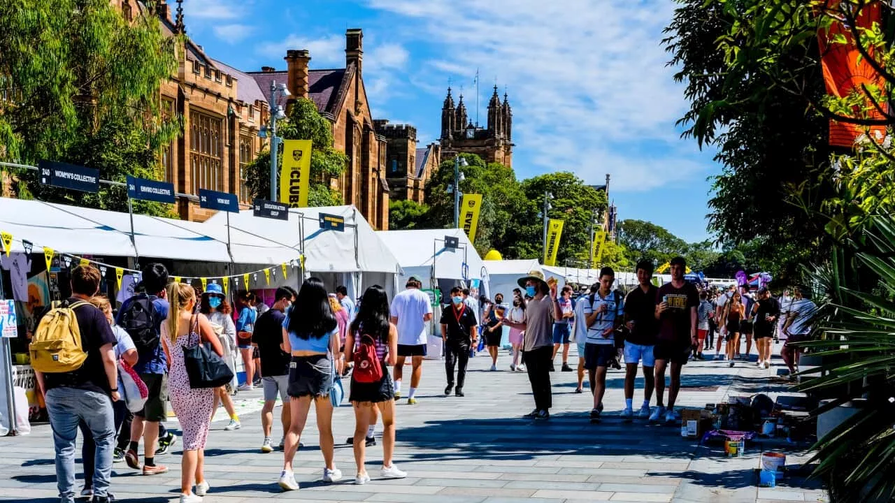 'Reckless and chaotic': Greens and Coalition unite against cap on international students