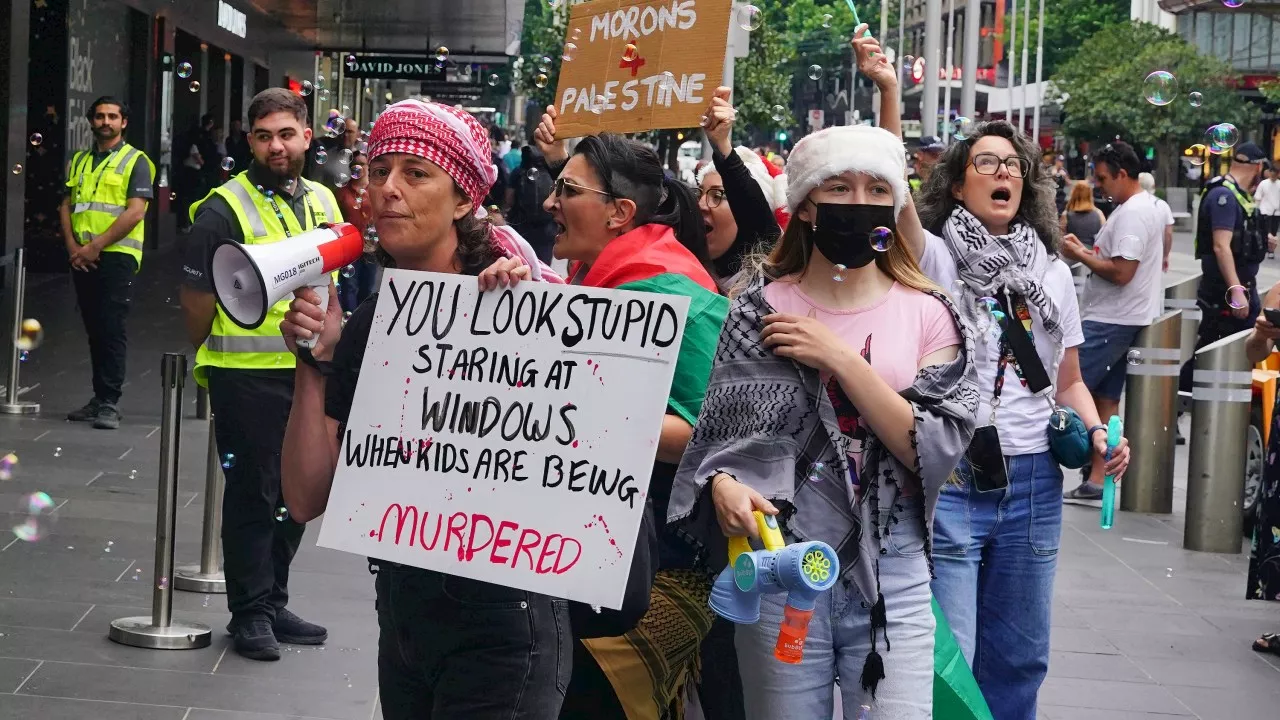 Calls grow for major change after pro-Palestine rally ends Christmas tradition