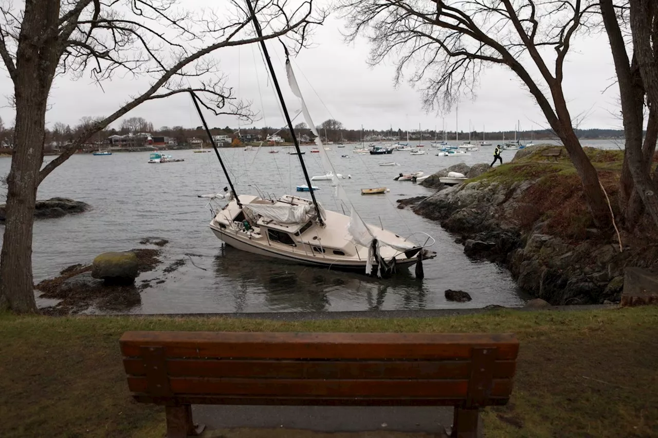 Fall storm could bring 'hurricane force' finds to B.C.