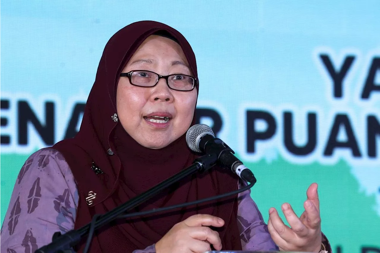 Employment, dependents among factors to guide RON95 subsidy redesign, says Fuziah