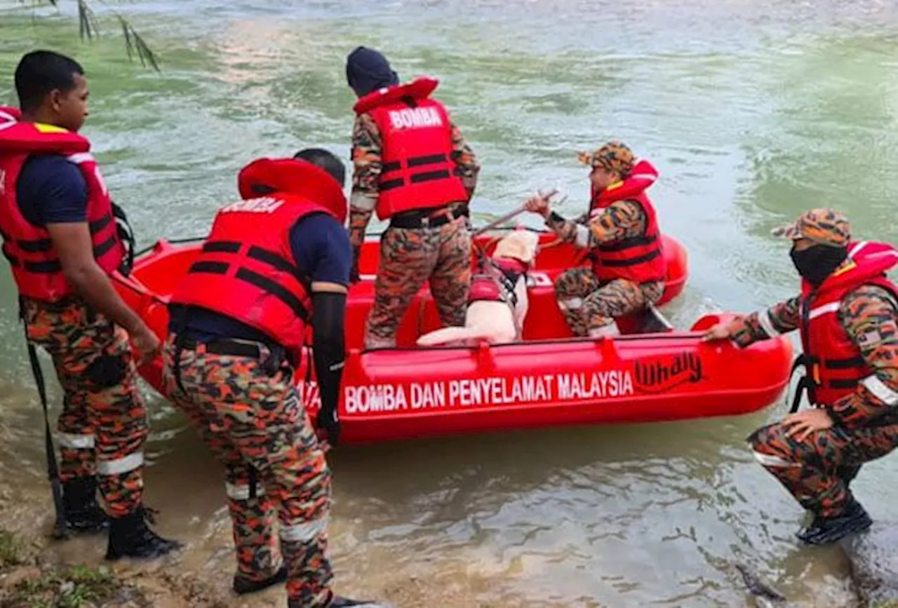 Girl swept away on Gerik river feared dead as search enters second day