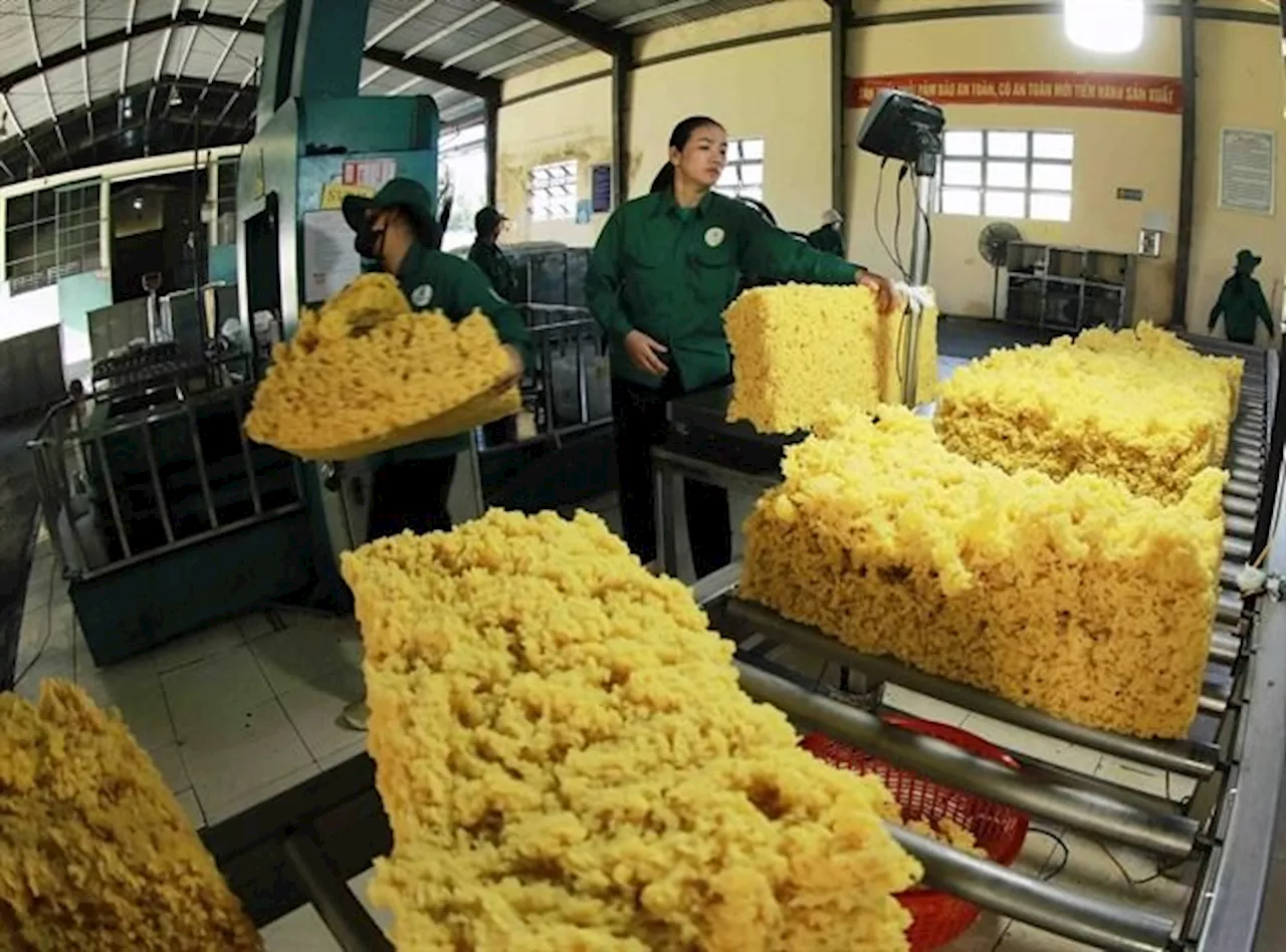 Vietnam's rubber exports to Malaysia grow by triple digits