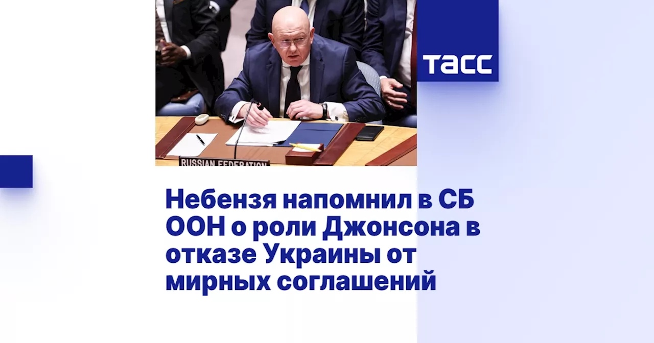 Небензя напомнил в СБ ООН о роли Джонсона в отказе Украины от мирных соглашений